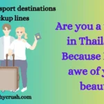Budget passport destinations pickup lines