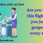 Flight attendant pick-up lines