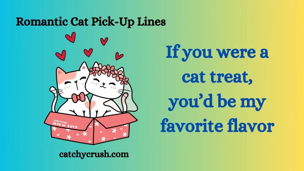 Romantic Cat Pick-Up Lines