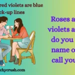 Roses are red violets are blue pick up lines