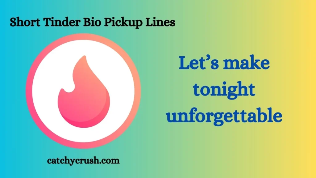 Short Tinder Bio Pickup Lines
