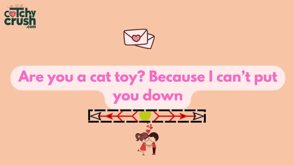 Flirty Cat Pickup Lines