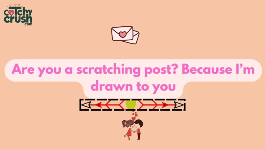 Funny Cat Pickup Lines