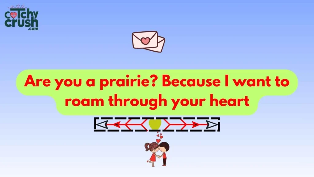 Funny Cowboy Pickup Lines