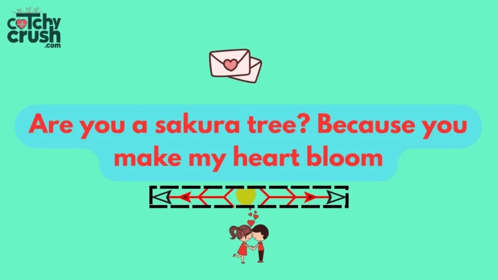 Funny Japanese pickup lines