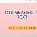 GTS Meaning in Text