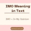 IMO Meaning in Text