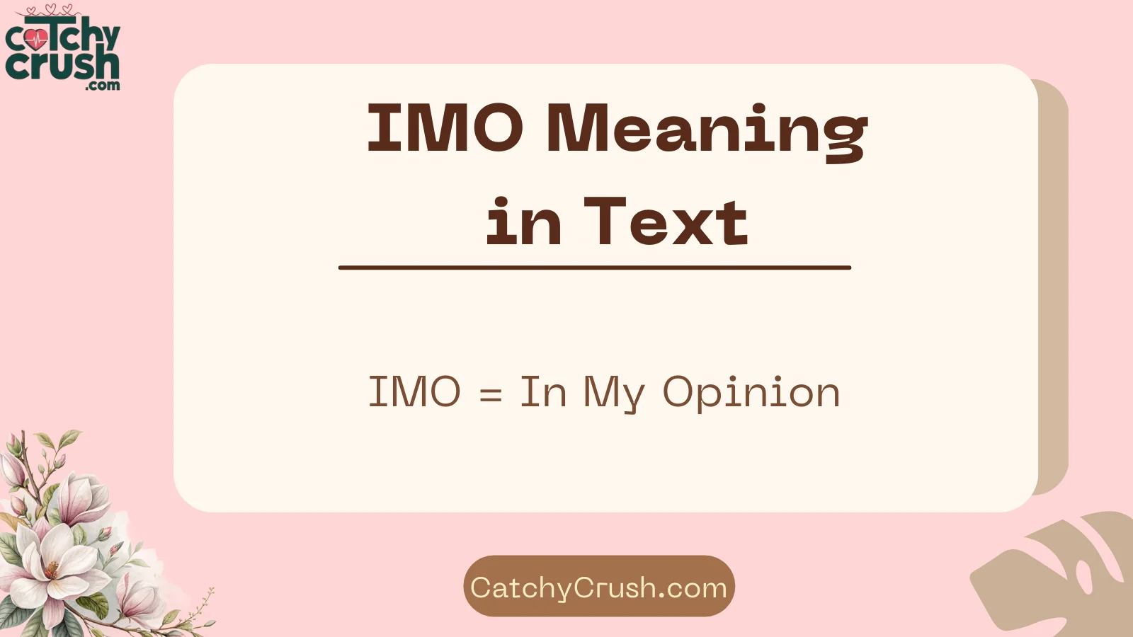 IMO Meaning in Text