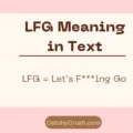 LFG Meaning in Text