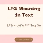 LFG Meaning in Text