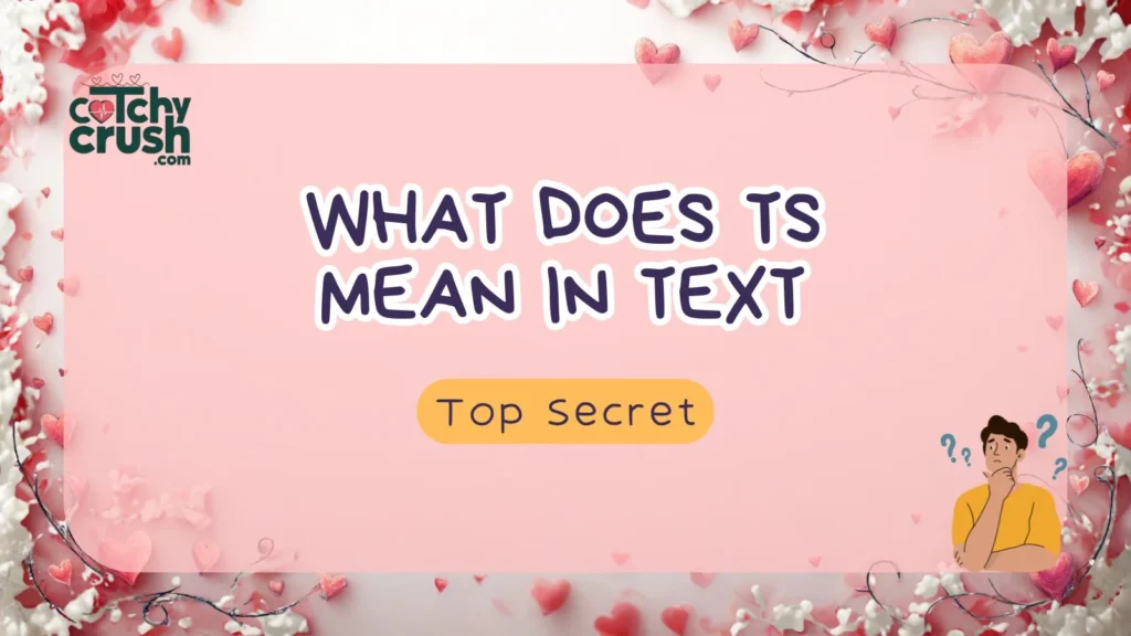 Other Common Meanings of TS in Text