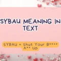 SYBAU Meaning in Text