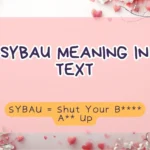 SYBAU Meaning in Text