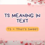 TS Meaning in Text