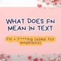 What Does FN Mean in Text