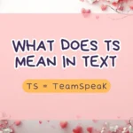 What Does TS Mean in Text