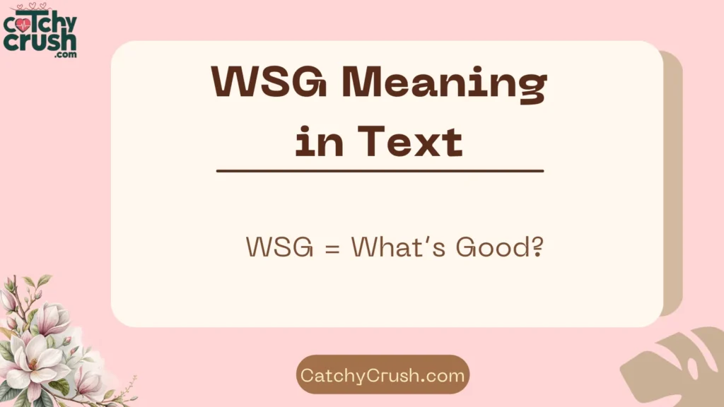 WSG Meaning in Text
