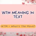 WTM Meaning in Text