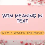 WTM Meaning in Text