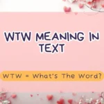WTW Meaning in Text