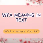 WYA Meaning in Text