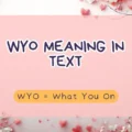 WYO Meaning in Text