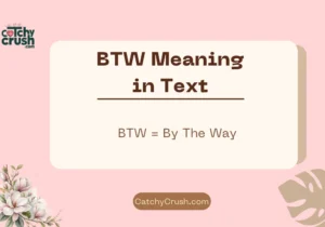 BTW Meaning in Text