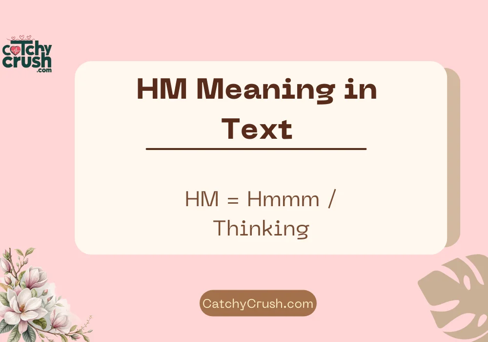 HM Meaning in Text
