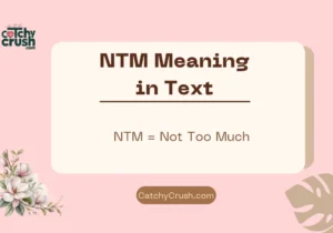 NTM Meaning in Text
