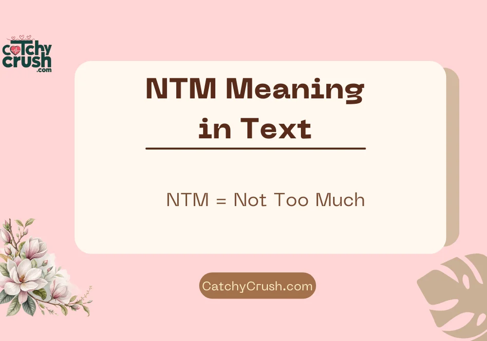 NTM Meaning in Text