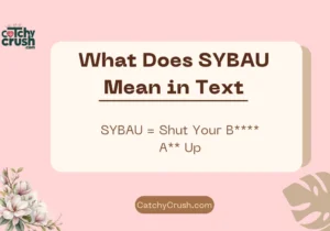 What Does SYBAU Mean in Text