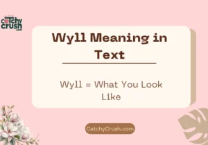 Wyll Meaning in Text