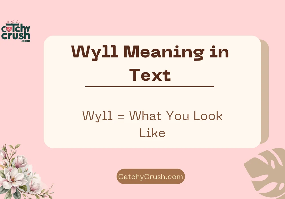 Wyll Meaning in Text