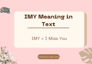 IMY Meaning in Text