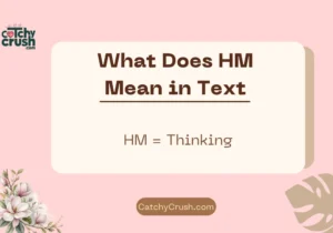 `What Does HM Mean in Text